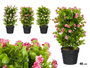 Ibergarden Pot de Fleurs Assortiment Couleurs 30x50x30 cm Plastique et Pierre (Set de 6)