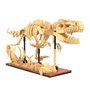 CADA Œuf Dinosaure en Expédition de 3 Unités C59015W