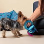 Cerdá Jouet à mâcher pour chien Stitch, 13 x 6 x 22 cm, bleu, à partir de 3 ans