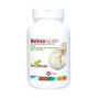 Sura Vitasan Melena de León 60 capsules