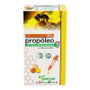 PINISAN Extrait de Propóleole sans Résines 50 ml