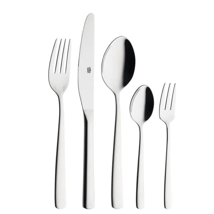 GSW Ménagère Acier Inoxydable 18/10 Massif - 60 couverts dont 12 fourchettes, 12 couteaux, 12 cuillères soupe et 12 cuillères café, Lave-vaisselle, En écrin