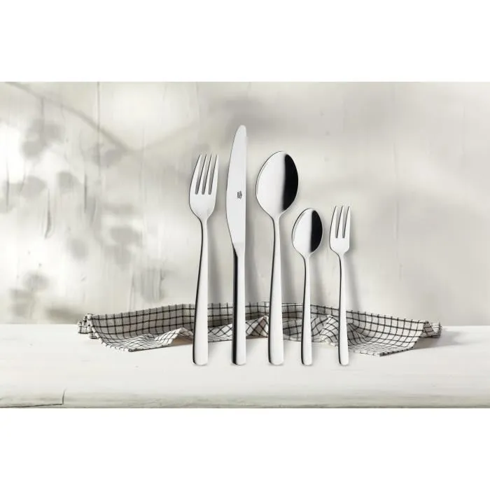 GSW Ménagère Acier Inoxydable 18/10 Massif - 60 couverts dont 12 fourchettes, 12 couteaux, 12 cuillères soupe et 12 cuillères café, Lave-vaisselle, En écrin