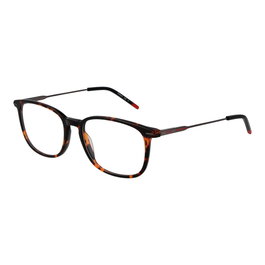 Monture de Lunettes Homme Hugo Boss HG 1205 5486