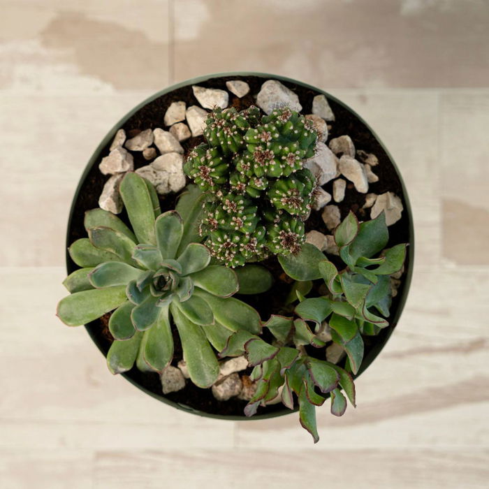 Pot de fleurs avec support Vinthera Moa Vert Métal 20 x 20 x 30 cm (6 Unités)