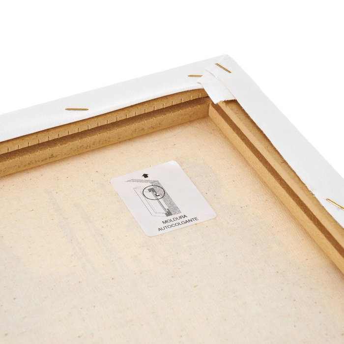 BigBuy Home Toile Multicouleur 100 x 2,5 x 50 cm