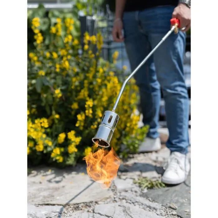 Rothenberger ROMAXI PREMIUM - Étancheur / Désherbeur thermique à gaz avec détendeur et tuyau 5m - 1060°C - Ø60 mm - Gris