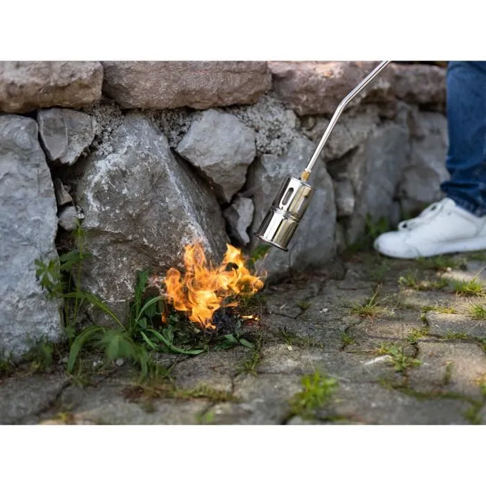 Rothenberger ROMAXI PREMIUM - Étancheur / Désherbeur thermique à gaz avec détendeur et tuyau 5m - 1060°C - Ø60 mm - Gris