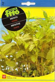 Semillas Fito Aromaticas Menta Verde - Boîte de 10