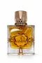 Fragrance World Aromatix X Xandal Extrait de parfum 100 ml
