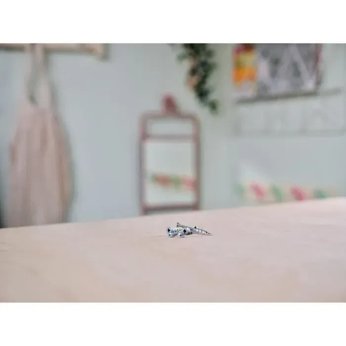 Rapid - Lot de 10 chevilles autoforeuses métal pour cloison plâtre 6-16 mm, Ø13 x 31 mm, charge max 5 kg, sans perçage (Réf. 5001558)