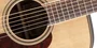 Takamine GD93 NAT