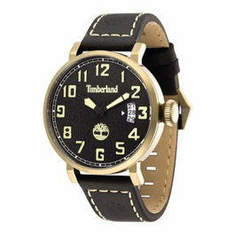Timberland TBL.14861JSK-02 avec boîtier doré et bracelet en cuir noir