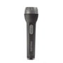 Lampe Torche Philips SFL3175/10