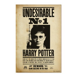 ERIK Poster Indésirable Numéro 1 Harry Potter 91,5x61cm