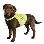 Gilet pour Chien Trixie Jaune