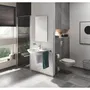 GROHE Bau Ceramic Abattant de WC en Duroplast Blanc Alpin avec Système SoftClose - Pour Cuve Bau Ceramic