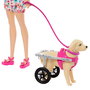 Mattel Barbie Poupée et ses Chiens avec Fauteuil Roulant - Set d'Animaux de Compagnie avec Accessoires (Corrège, Bol, Lit, Friandises) - Htk37
