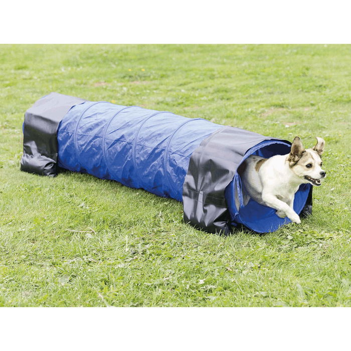 Tunnel de jeu Trixie