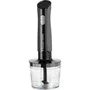 Russell Hobbs Mixeur Plongeant Desire 3 en 1, Noir Mat, 500 W