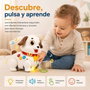 Hola Chien à tirer pour enfants avec lumières et sons