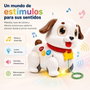 Hola Chien à tirer pour enfants avec lumières et sons