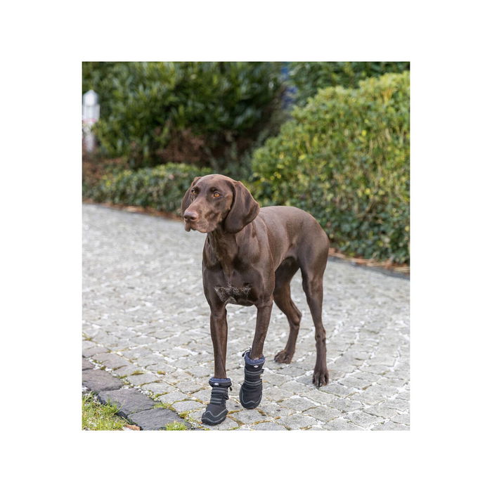 Marcheur de protection des pattes Trixie Noir L/XL