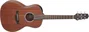 Takamine Guitare Électroacoustique GY11 New Yorker Acajou Satiné A/E