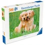 Ravensburger Puzzle 500 Pièces - Les Frères Golden Retriever (Collection Bébés Animaux) - Dès 12 Ans - Réf. 12001902