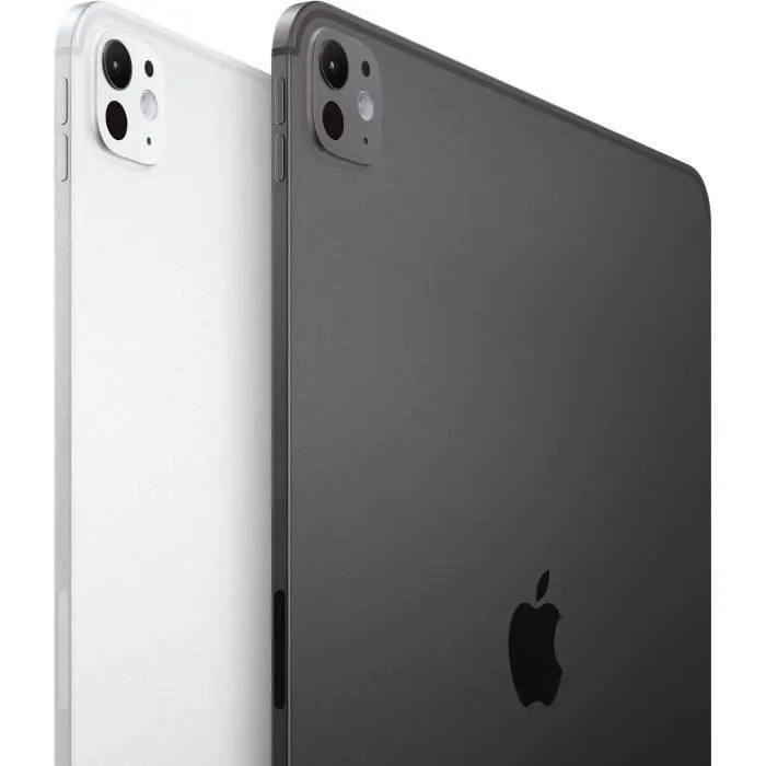 Apple iPad Pro 2024 11 " WiFi 512 Go Noir spatial