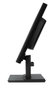 Acer V196L 19 pouces SXGA IPS 75Hz Noir