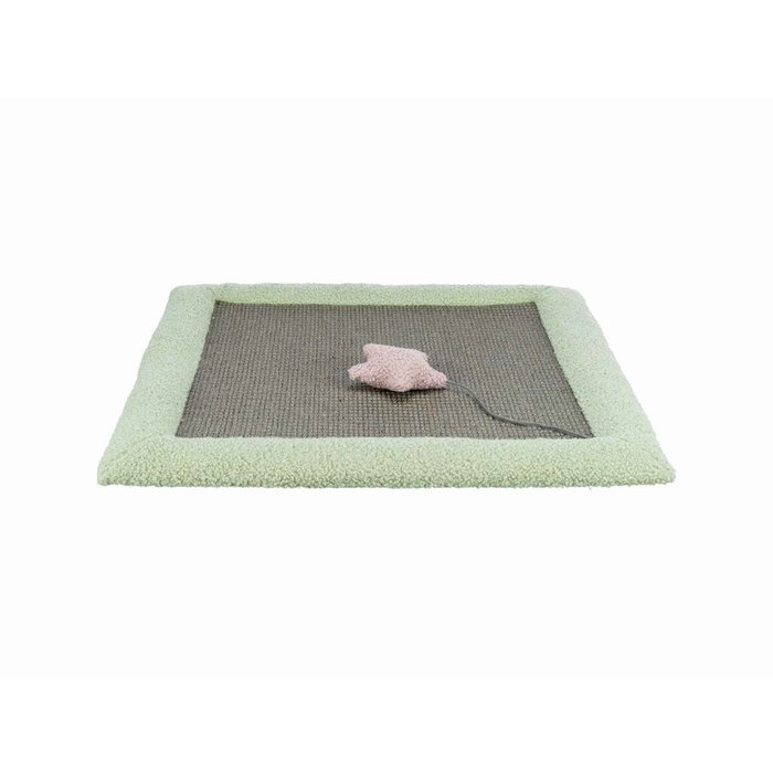 Trixie Junior Matelas Griffoir Gris / Menthe 47 x 47 cm Trixie Junior Matelas Griffoir Gris / Menthe 47 x 47 cm