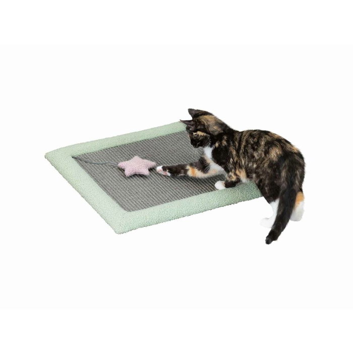 Trixie Junior Matelas Griffoir Gris / Menthe 47 x 47 cm Trixie Junior Matelas Griffoir Gris / Menthe 47 x 47 cm