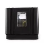 Applique Murale LED Extérieure IP65 Cross 4W 300Lm 40.000H