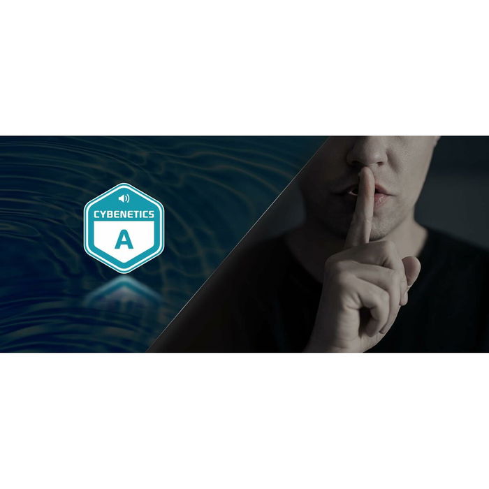 Bloc d’Alimentation ASRock 90-UXS100-GFEABA 1000 W 80 Plus Gold