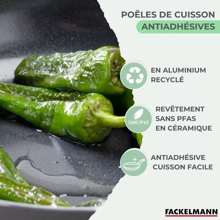 Fackelmann Poêle Brandao Set de 2, Induction, Antiadhésif Céramique sans PFAS, Aluminium Recyclé, Ø 20 et 24 cm, Compatible Tous Feux et Four jusqu'à 150°C