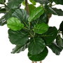BigBuy Home Plante décorative Ficus 175 cm en Polyuréthane et Ciment