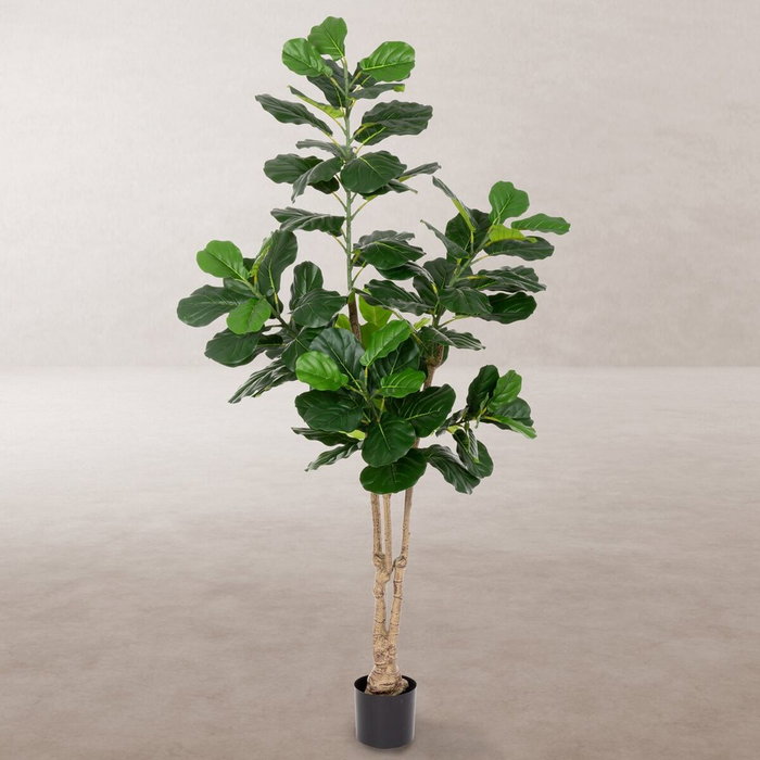 BigBuy Home Plante décorative Ficus 175 cm en Polyuréthane et Ciment BigBuy Home Plante décorative Ficus 175 cm en Polyuréthane et Ciment