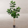 BigBuy Home Plante décorative Ficus 175 cm en Polyuréthane et Ciment