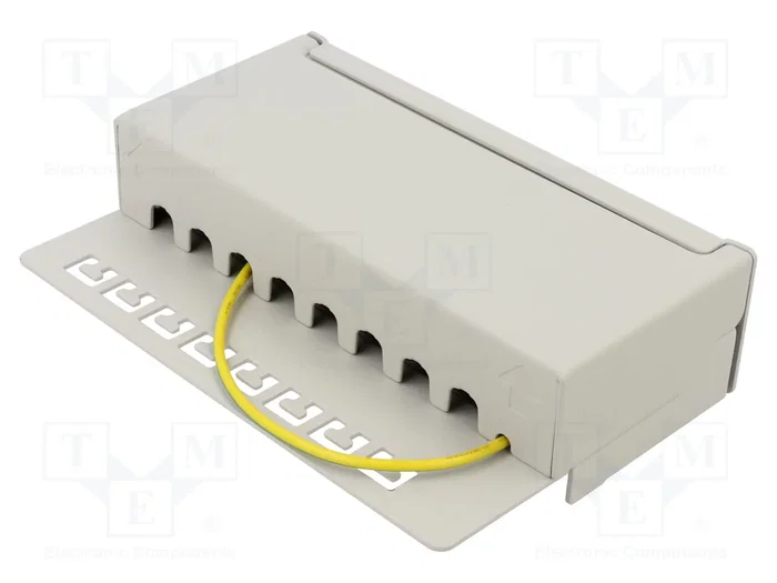 GOOBAY Panneau de brassage Cat 6a 8 ports RJ45 1U gris GOOBAY Panneau de brassage Cat 6a 8 ports RJ45 1U gris