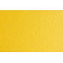 Papier carton Sadipal LR 220 Jaune 50 x 70 cm Texturisée (20 Unités)
