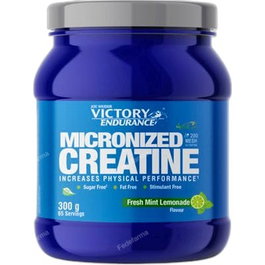 VICTORY ENDURANCE Creatina 200 Mesh Astragin mint-lemonade 300 g