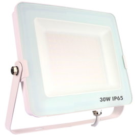 Silver Projecteur LED 30W 5700K 2400lm IP65 Extérieur Blanc