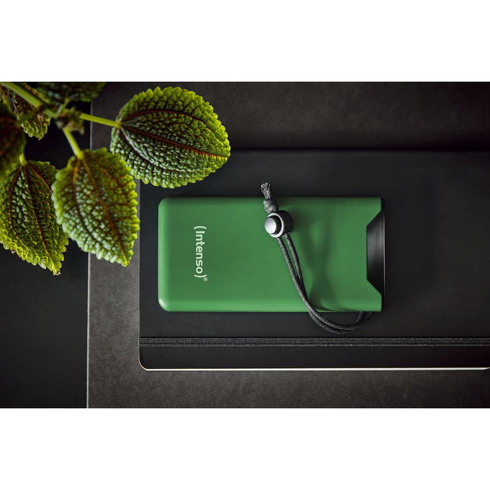 Intenso F10000 Powerbank 10000 mAh Vert