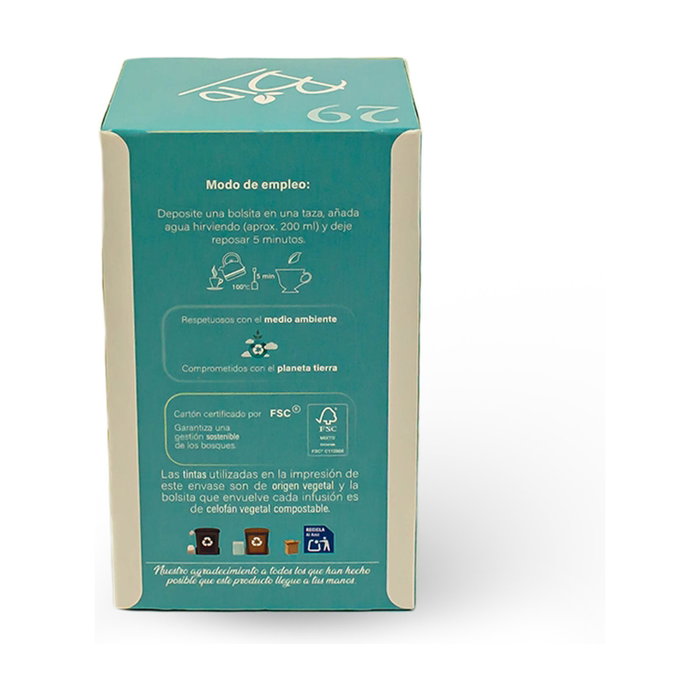 ARTEMIS BIO Tisana Detox 20 Filtres