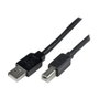 Startech Câble USB A vers USB B USB2HAB65AC Noir