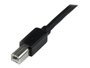 Startech Câble USB A vers USB B USB2HAB65AC Noir