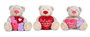 Quiron Lovely Bear 37cm - Ours en peluche microfibre avec accessoires et messages d'amour, modèle assorti (Espagnol)