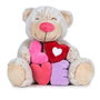 Quiron Lovely Bear 37cm - Ours en peluche microfibre avec accessoires et messages d'amour, modèle assorti (Espagnol)