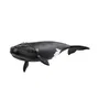 Schleich 14878 Figurine Baleine de l'Atlantique - Wild Life, Jeu pour Enfants des 5 Ans